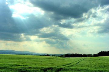 Outil d’aide à la planification de mesures d’adaptation aux changements climatiques à destination des communes