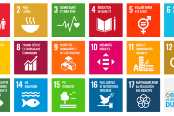 Etablir des cibles chiffrées relatives aux Objectifs de développement durable (ODD) pour la Wallonie