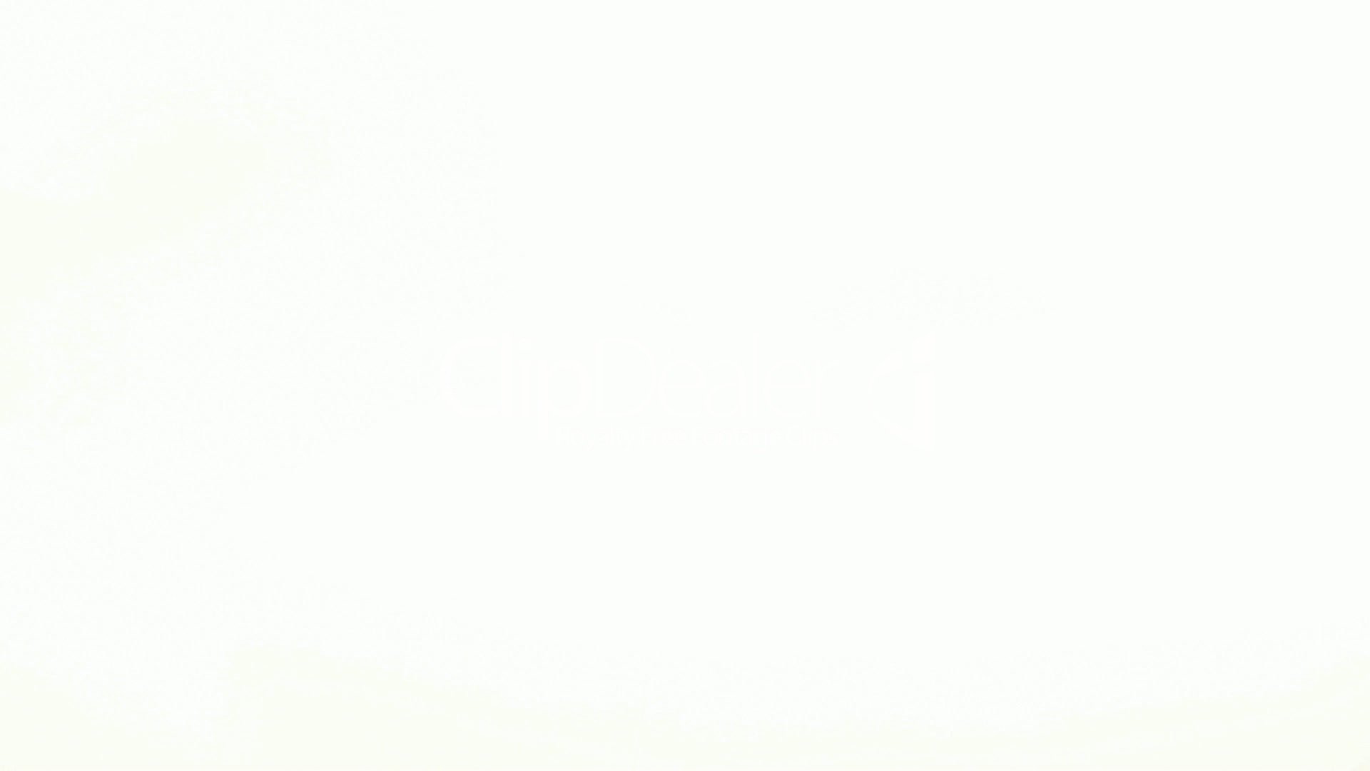 Titre de la référence